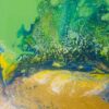 Natural Duality – Image 2